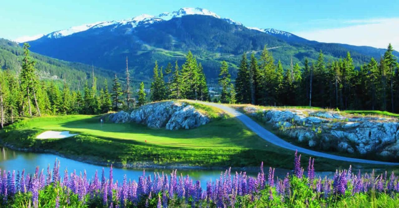 Bright Suite At Ski In/Out Glacier Lodge! Whistler Extérieur photo